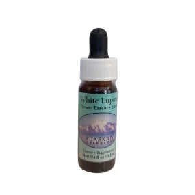 Lupin blanc (Lupinus nootkatensis) 7.4ml