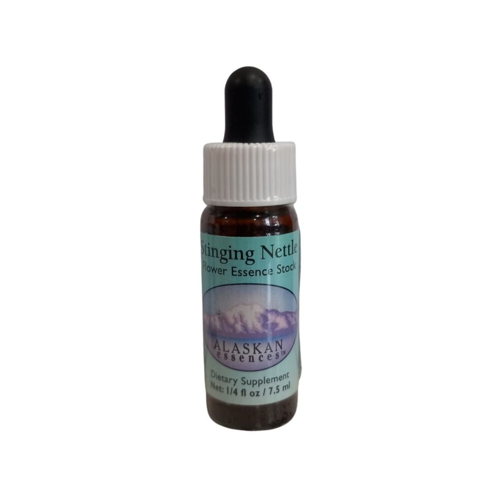 Stinging Nettle (Urtica gracilis) 7,4 ml