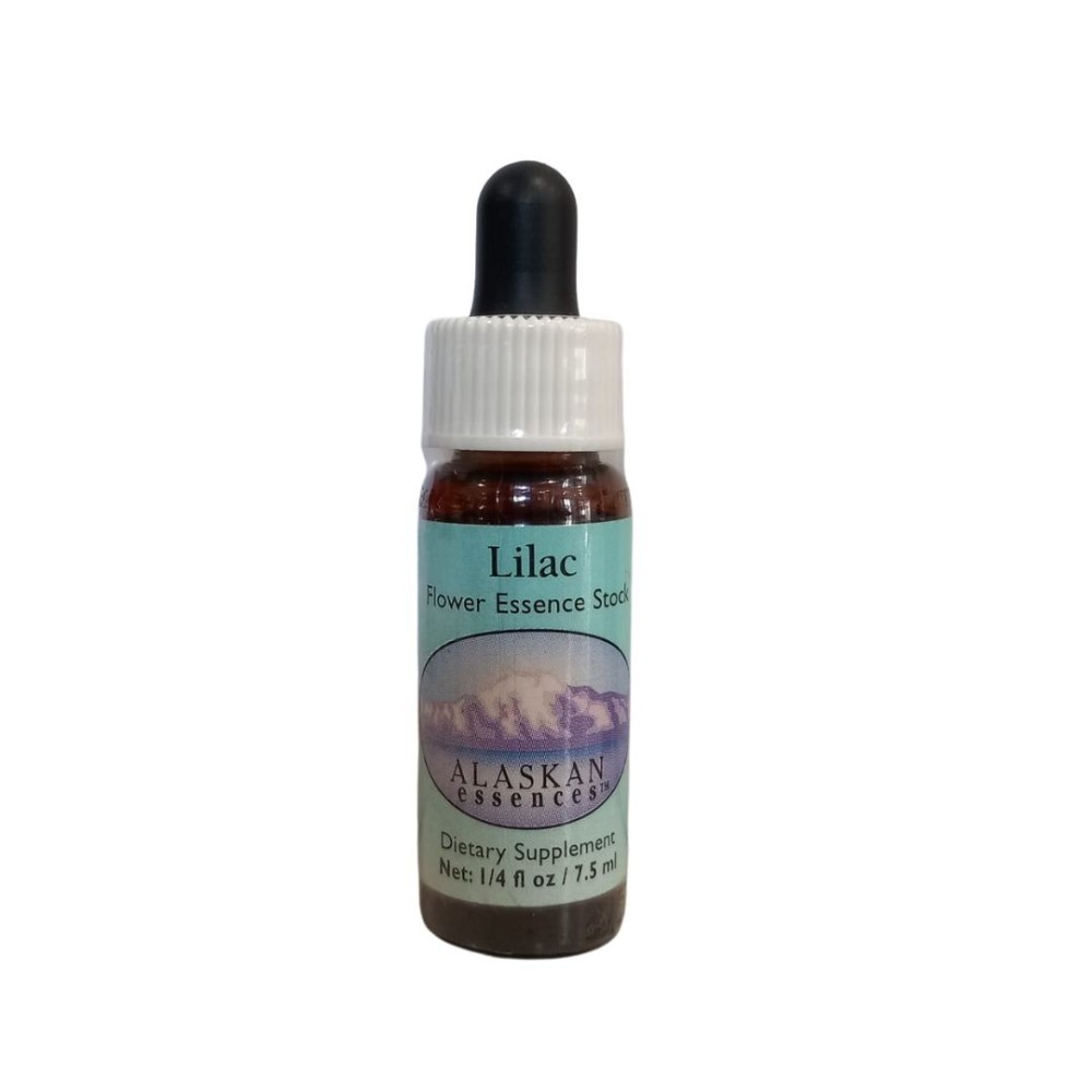 Flieder (Syringa vulgaris) 7,4 ml