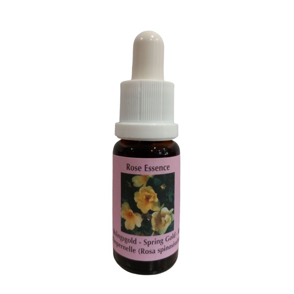 Oro Primavera (Rosa spinosissima) 15 ml