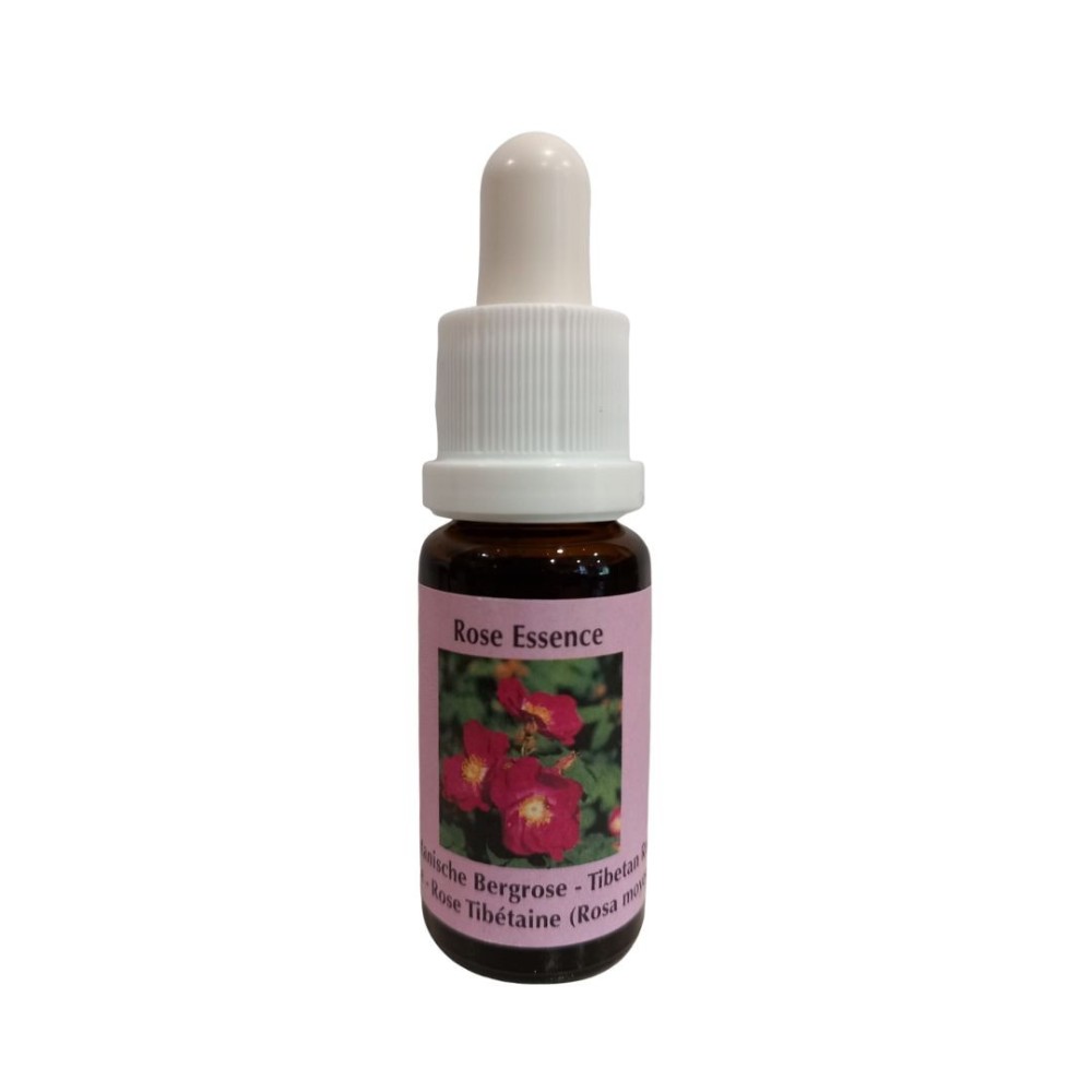 Ciste du Tibet (Rosa moyesii) 15ml