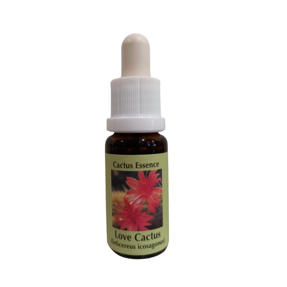 Cactus del Amor 15ml