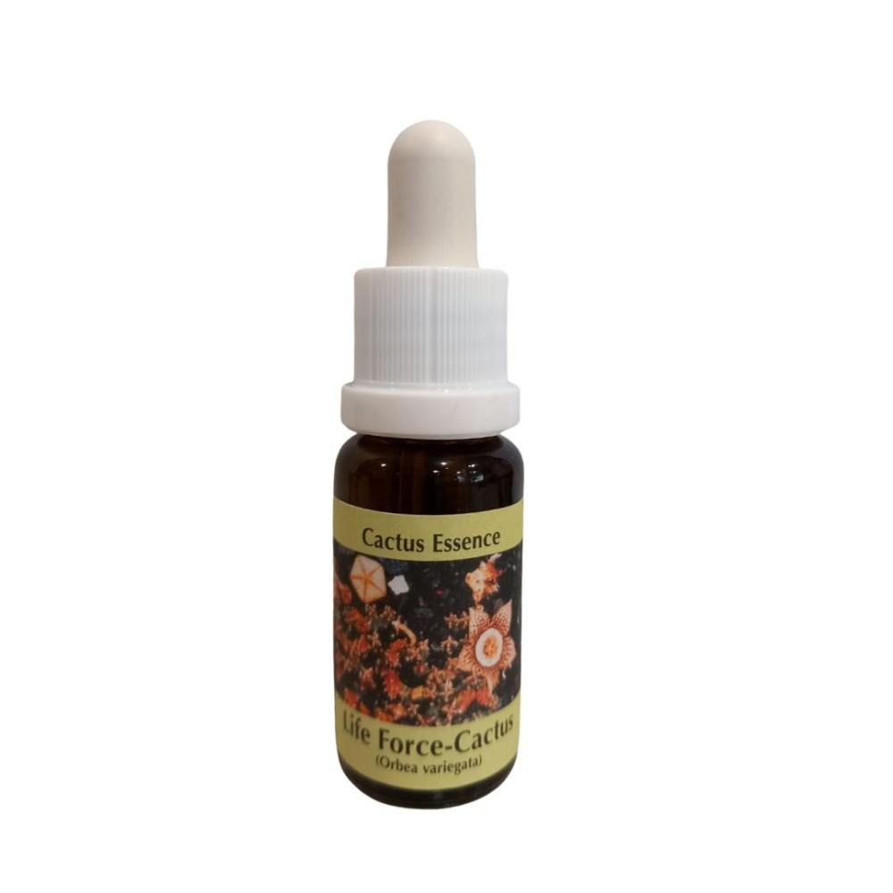 Life Force Cacti 15ml