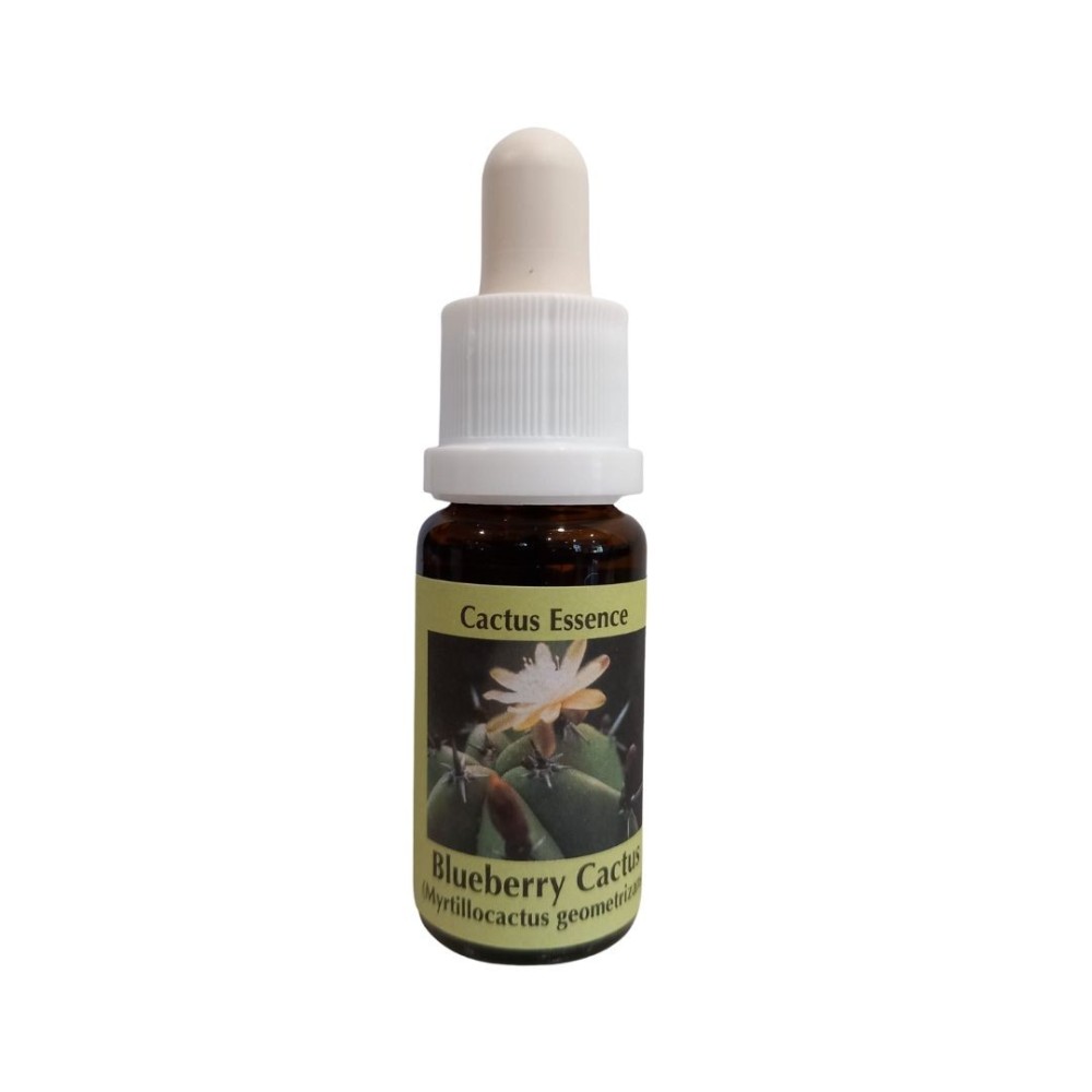 Cactus Myrtille 15ml