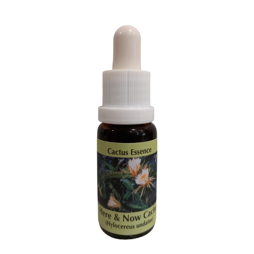 Ici & Maintenant Cactus 15ml