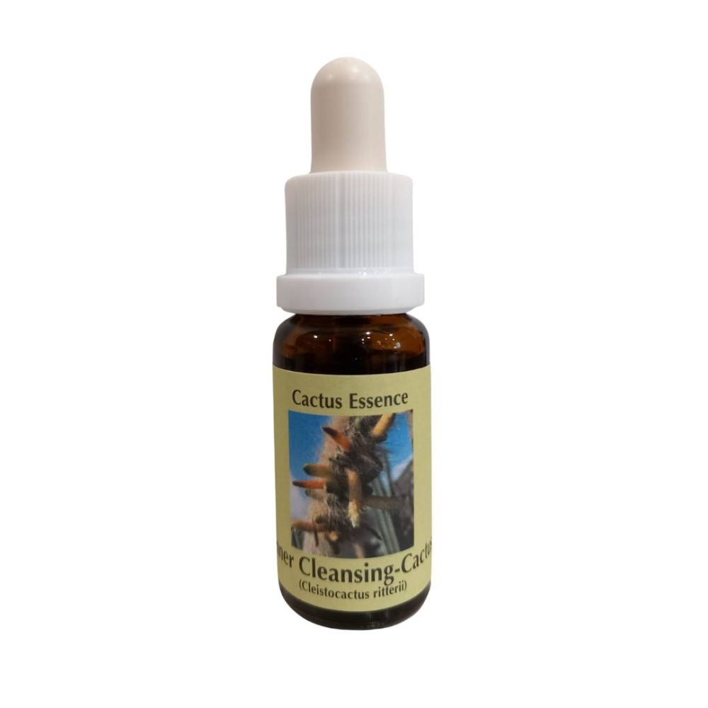 Aura Cleaning Cacti 15ml