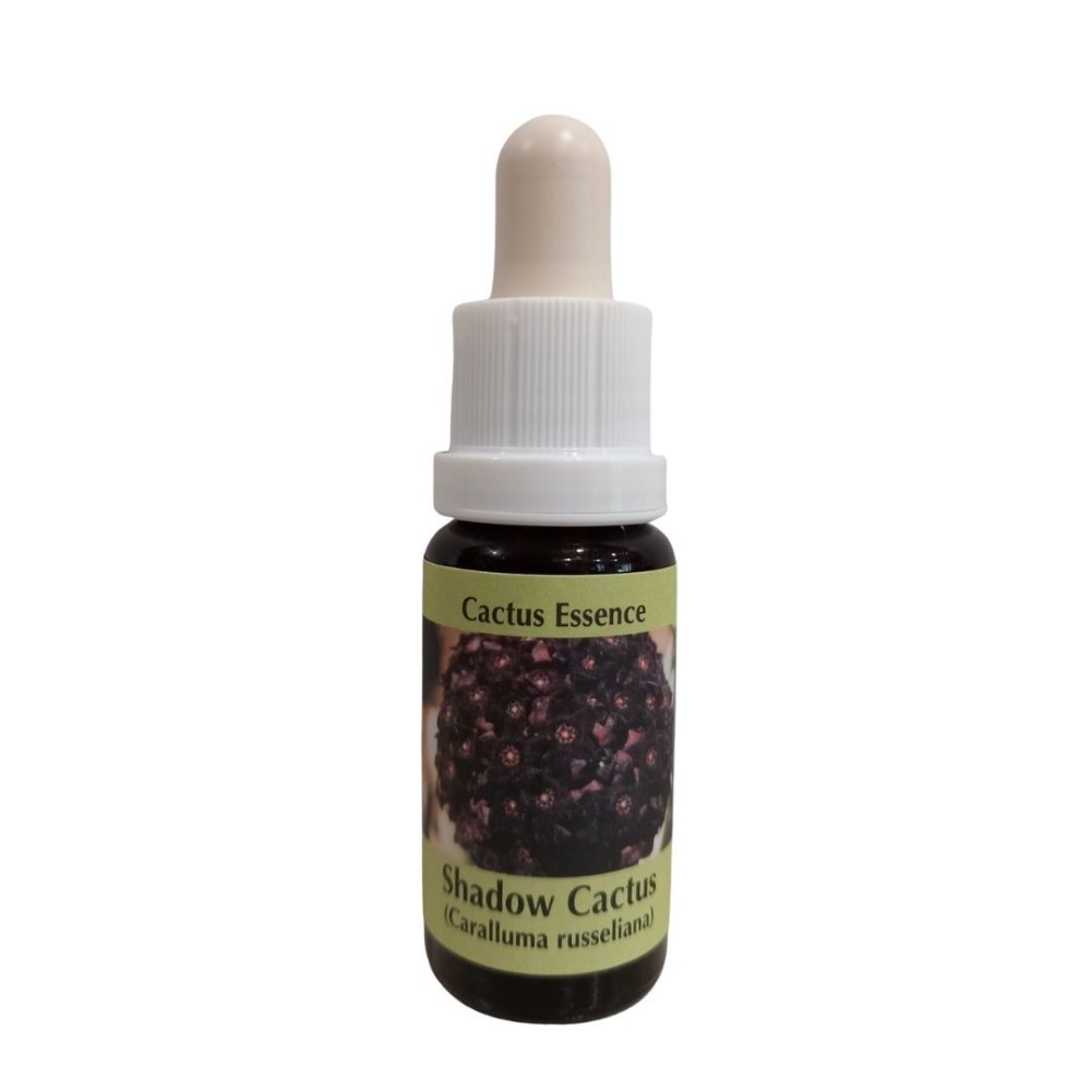 Cactus Ombre 15ml