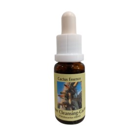 Innerer Reinigungskaktus 15 ml