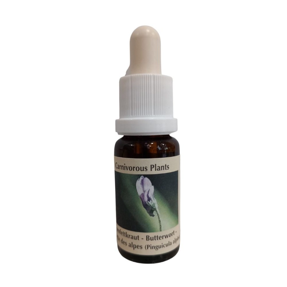 Butterwort (pinguicola alpina) 15 ml