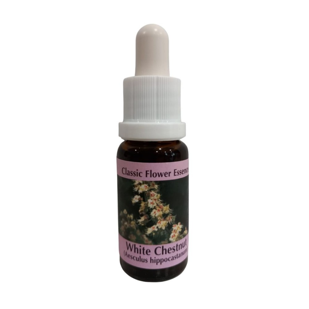 White Chestnut 15ml