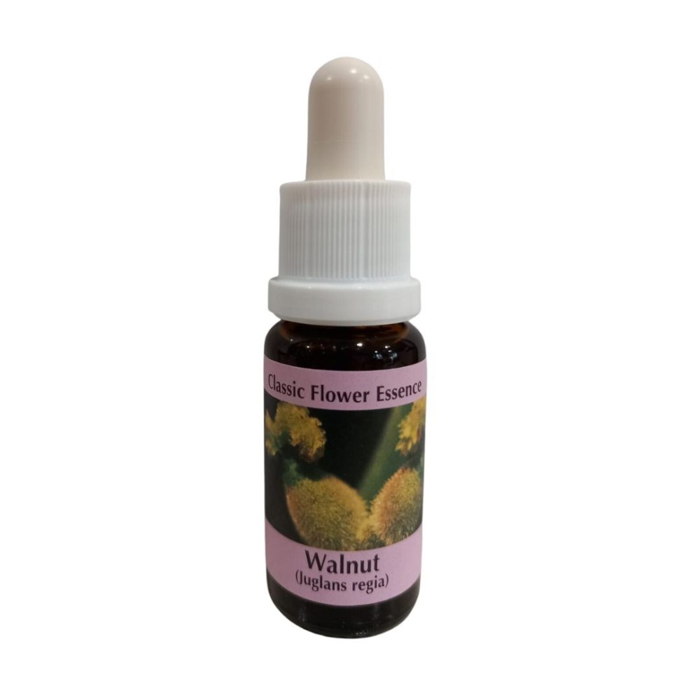 Walnuts 15ml