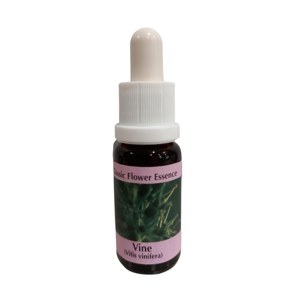 Vine 15 ml