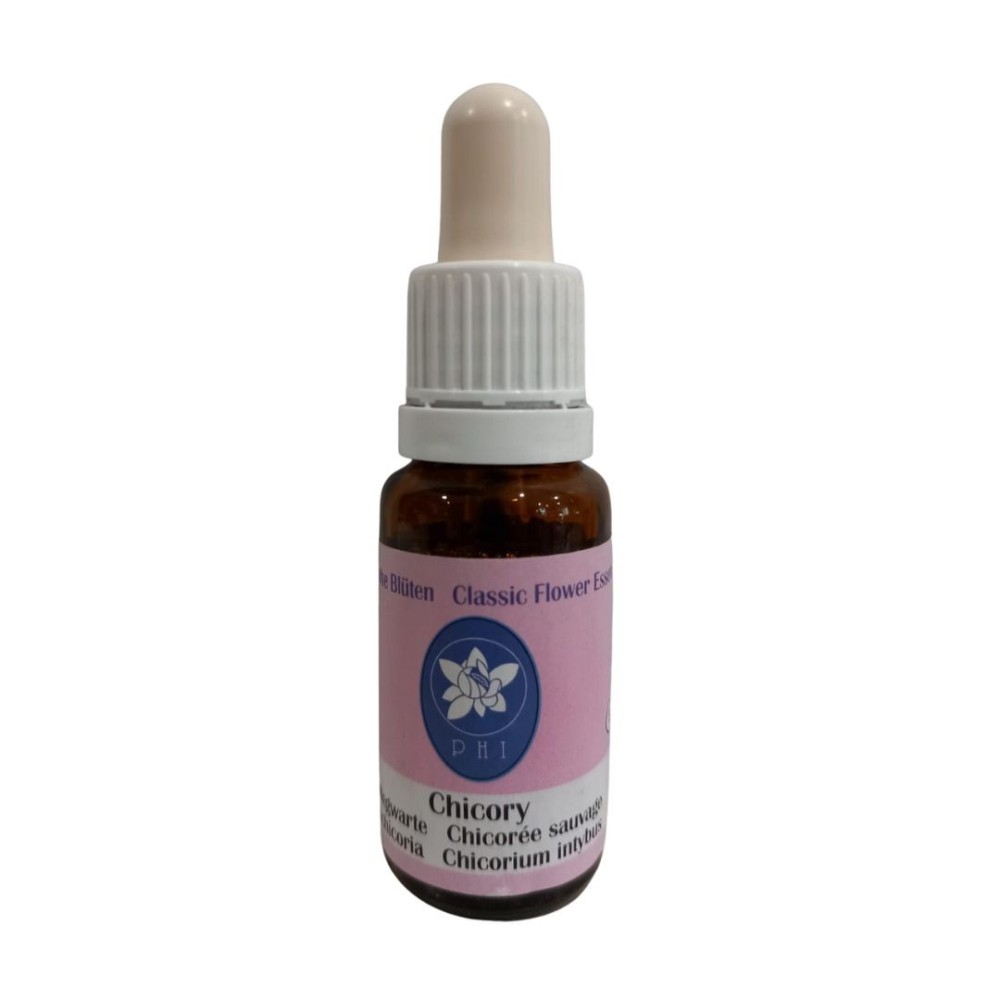 Chicory 15 ml