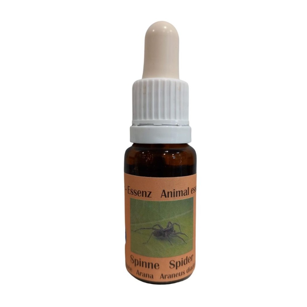 Araignée 15ml