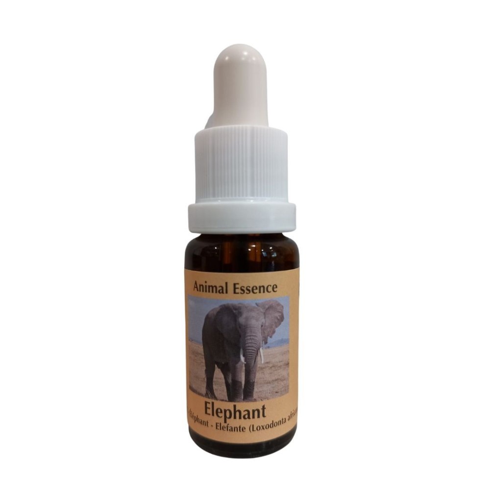 Éléphant 15ml