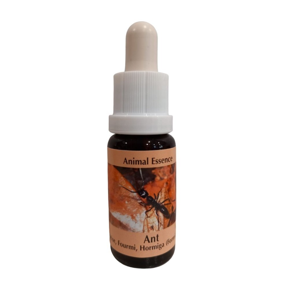 Ameise 15 ml