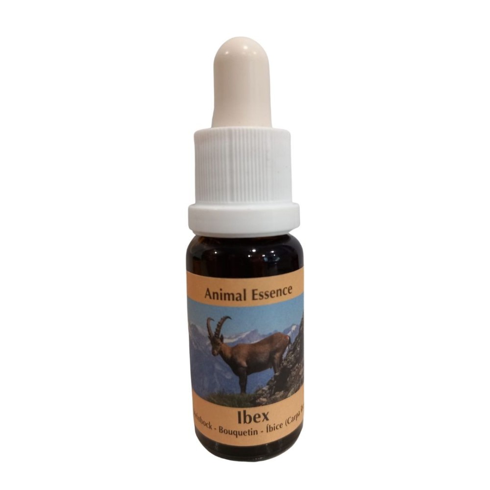 Cabra montés 15 ml