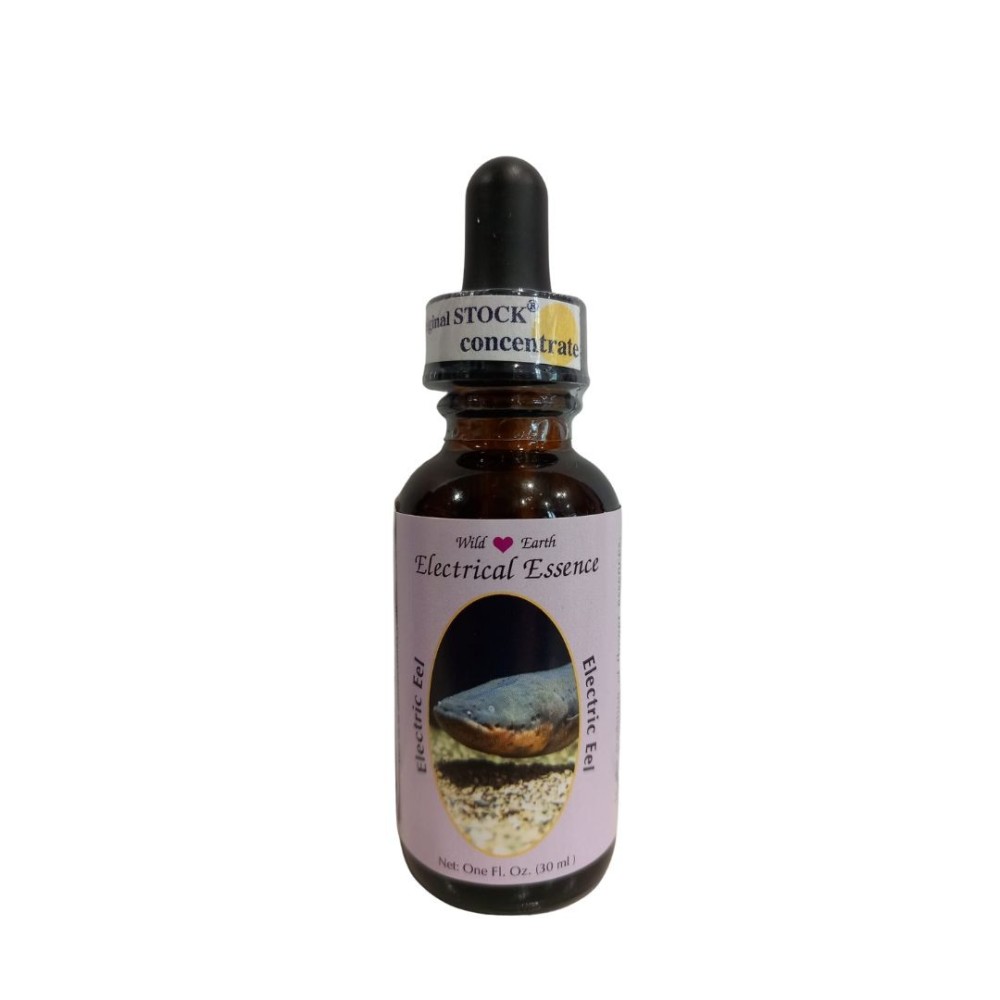 Electrical essence (Electric Eel) 30ml