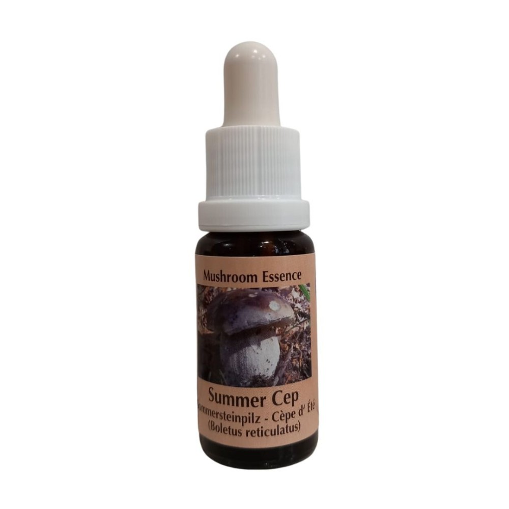 Verano Cep 15ml