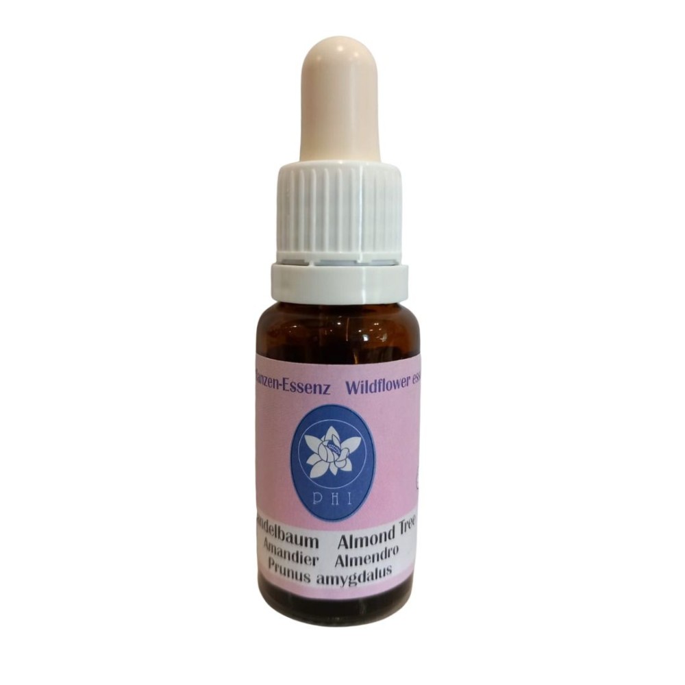 Mandelbaum (Mandelbaum) 15 ml