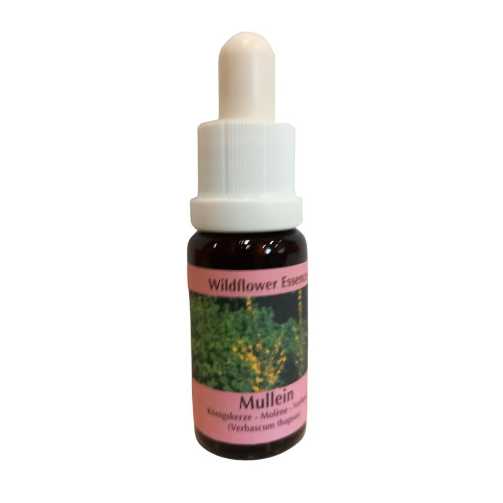 Mullein (Verbasco) 15 ml