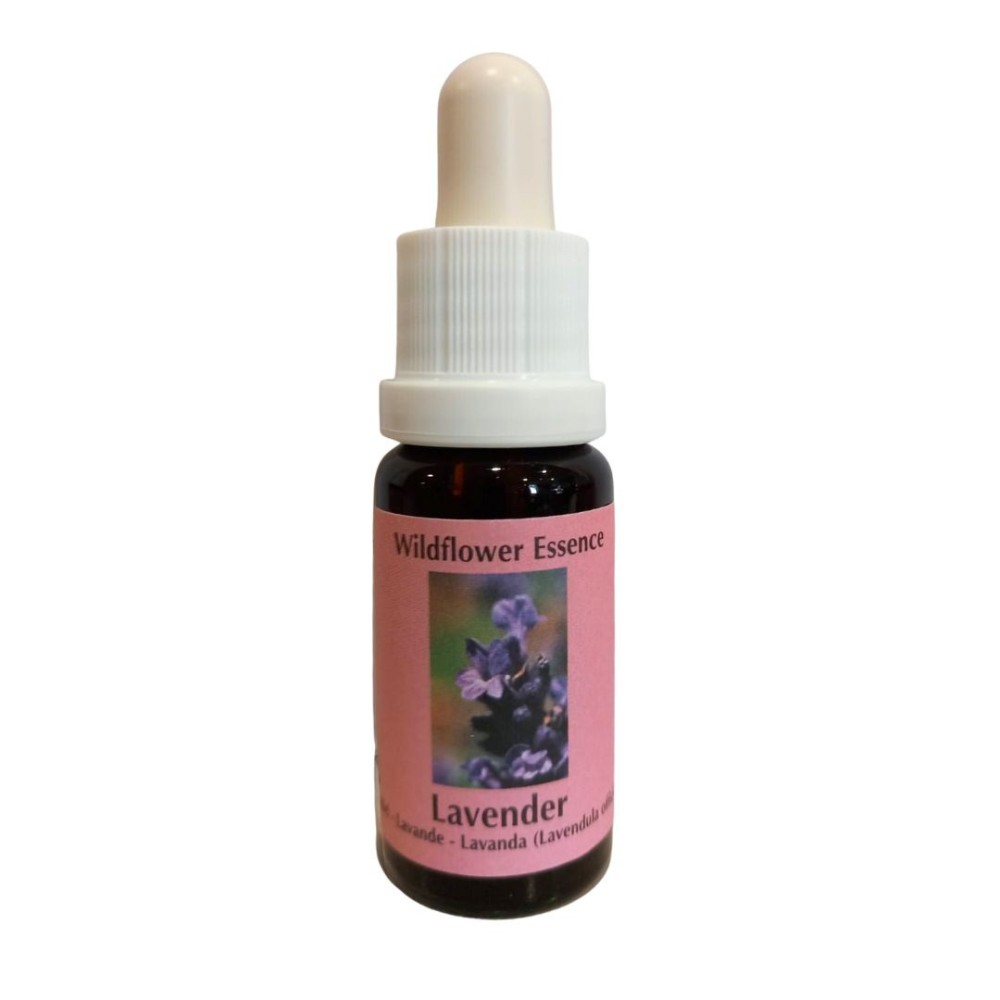 Essence of wild flowers Korte - Lavander (Lavender) 15 ml