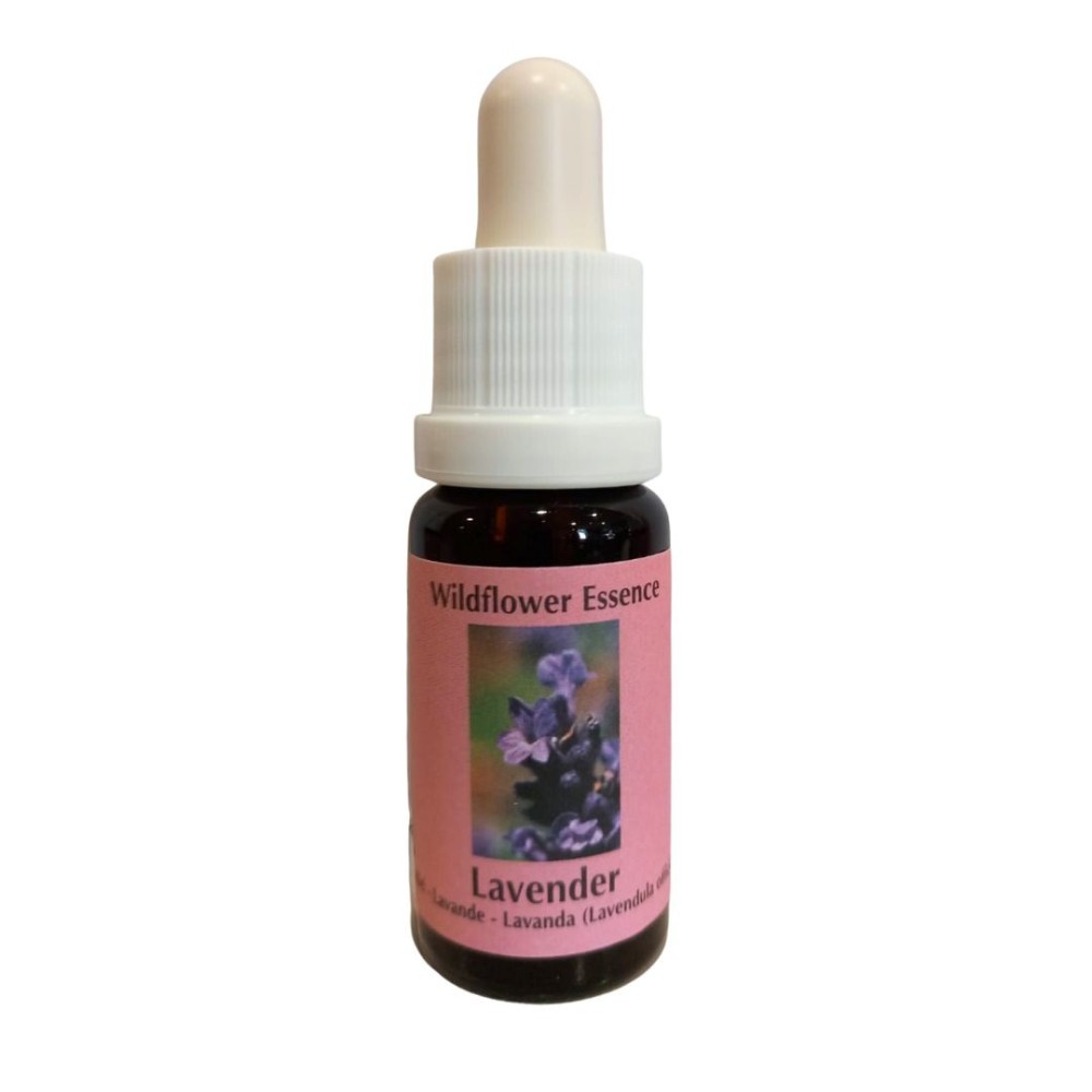 Lavande (Lavande) 15 ml