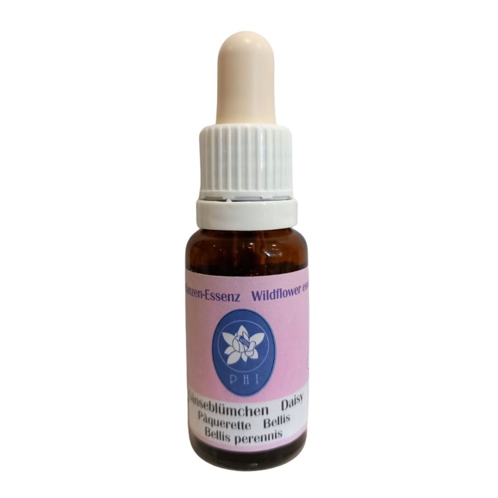 Gänseblümchen (Gänseblümchen) 15 ml