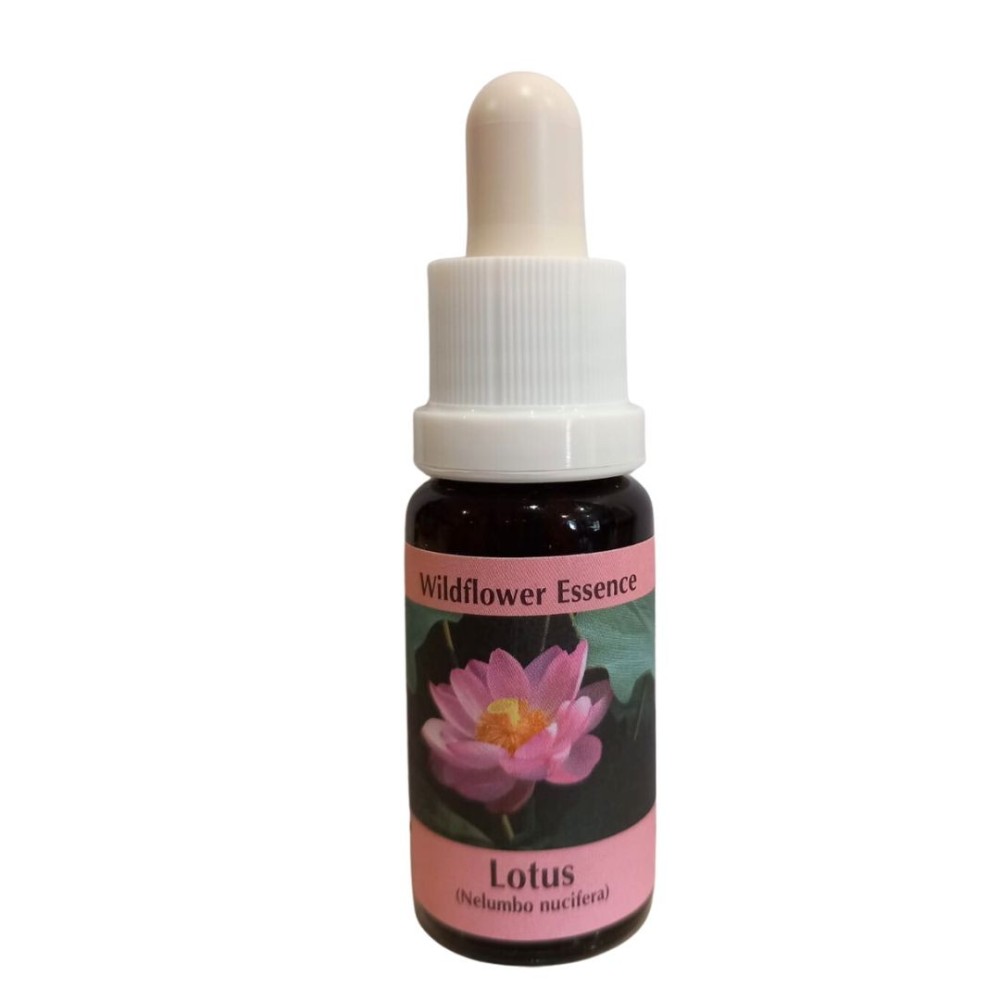 Lotus (Lotusblume) 15 ml