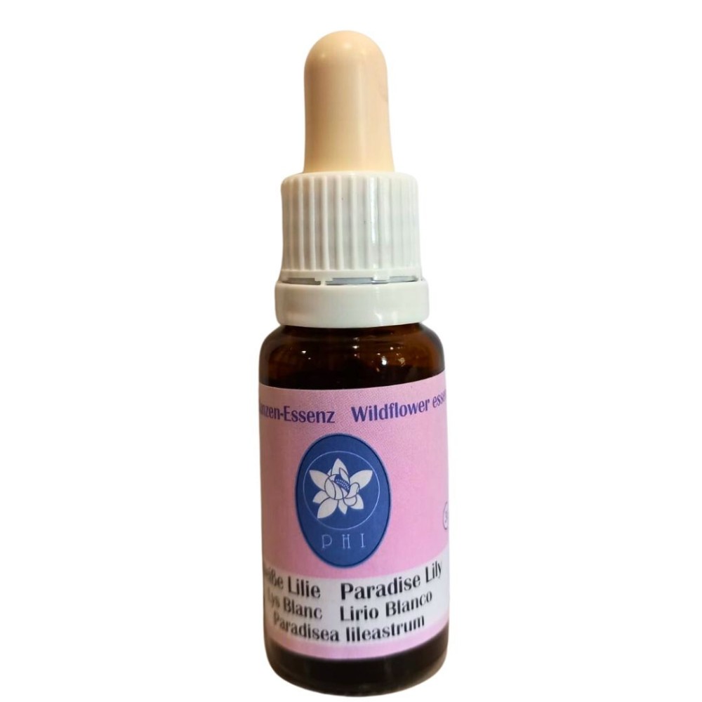 Paradieslilie (Paradieslilie) 15 ml