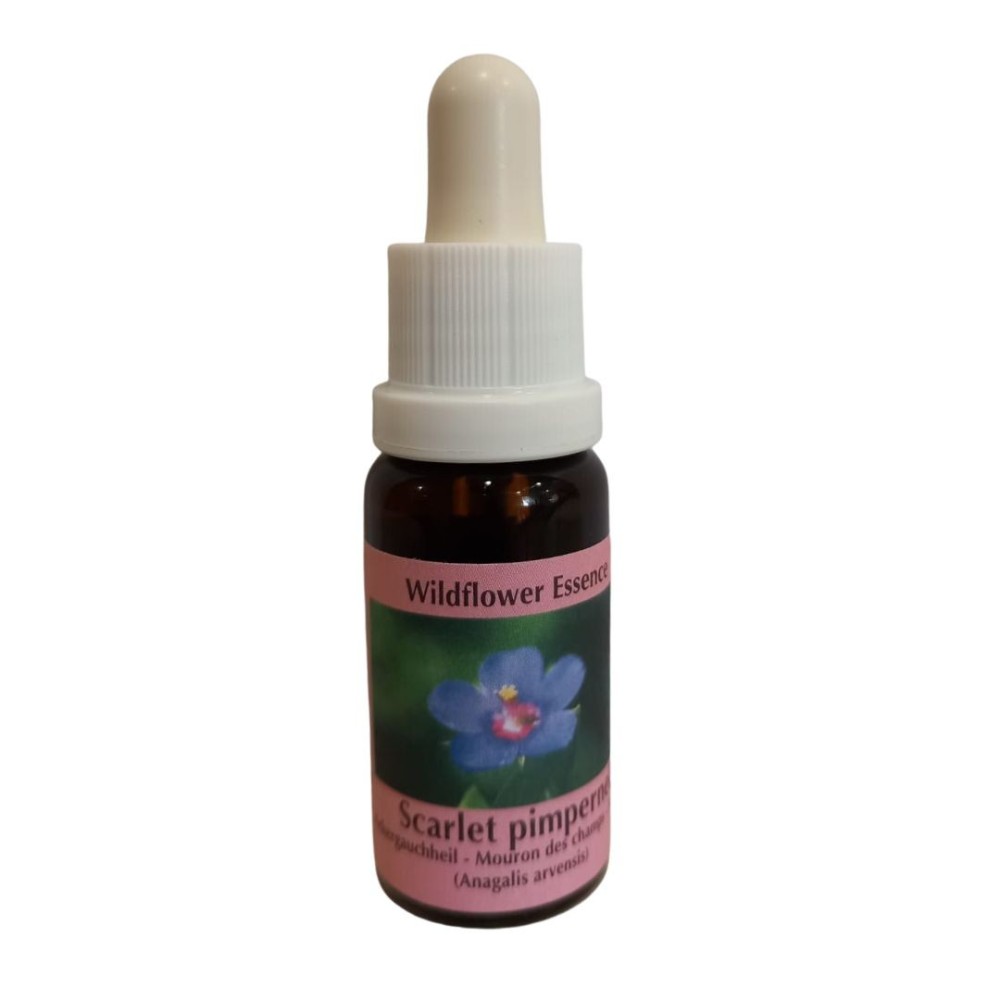 Scarlet Pimpernel (Primula) 15 ml