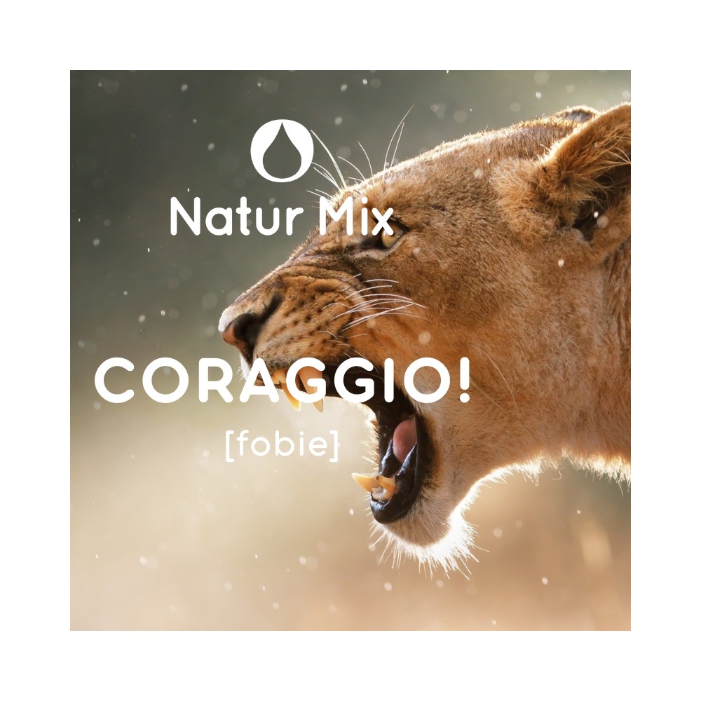 Natur Mix - Courage! 30ml