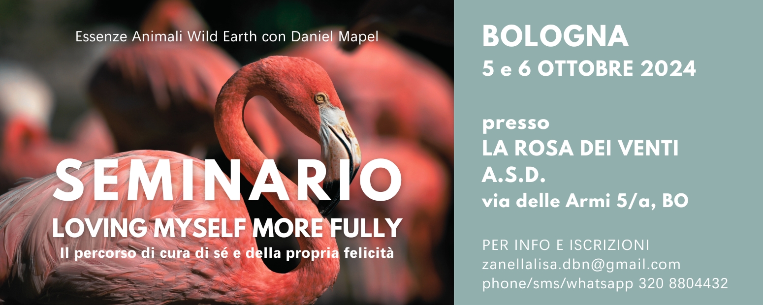 Seminario Daniel Mapel - Wild Earth Essences